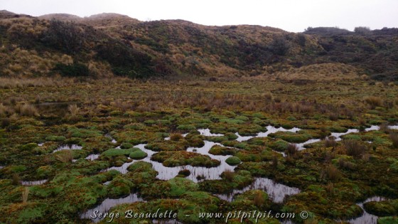 2014-11-19_09-56-41_ DSC_0292