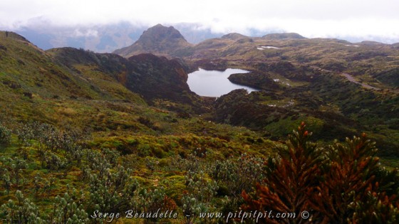 2014-11-19_10-16-56_ DSC_0305