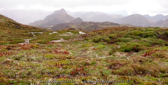 …Il a même grêlé!!! Il fait très froid ici, même si nous sommes en Équateur! C’est du à l’altitude bien entendu! Nous perdons 1 degré environ pour chaque 200 m d’altitude!