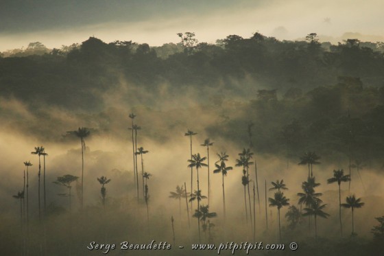 Une autre extraordinaire journée semble s'annoncer...