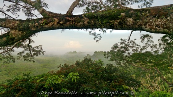 Du haut de la plateforme