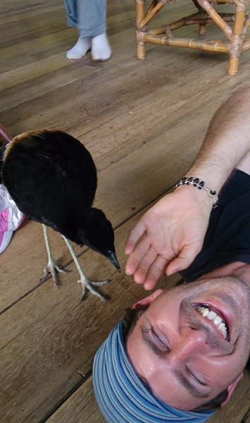 Des oiseaux de très près, c'est le moins qu'on puisse dire!