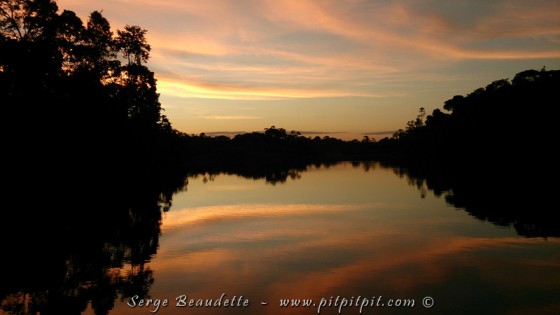 Chaque jour, nous voyons le soleil se lever sur la jungle et la nature qui se réveille… et le soir, nous voyons la luminosité descendre… et « l'autre nature », celle de la nuit… se… reveiller!!! Y'a de la vie TOUT LE TEMPS!