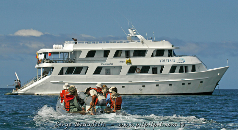 Ce voyage est d’abord une croisière! Croisière de 8 jours à bord d’un bateau qui est réservé pour notre groupe seulement! Nous avons un itinéraire unique, monté sur mesure, optimisé pour les oiseaux bien entendu, avec des permissions spéciales qui nous sont accordées par les instances gestionnaires du parc national!
