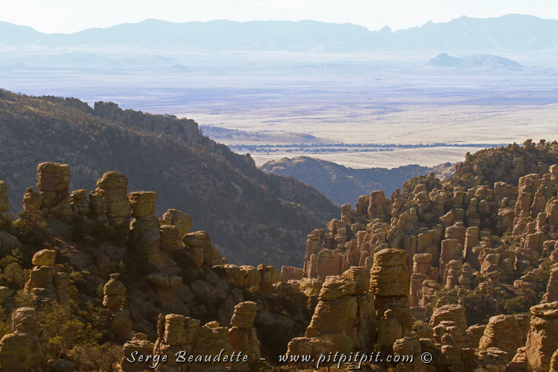 En route justement vers ses formations rocheuses étranges et fascinantes... Patrimoine mondial de l'Unesco, territoire Apache qui a abrité jusqu'à très récemment les plus anciens habitants des Amériques... Ce massif unique, qui rencontre au loin les canyons de la vallée de la San Pedro d'où nous venons, séparés par des plaines inondables... habitat rare dans ce coin de l'Amérique...