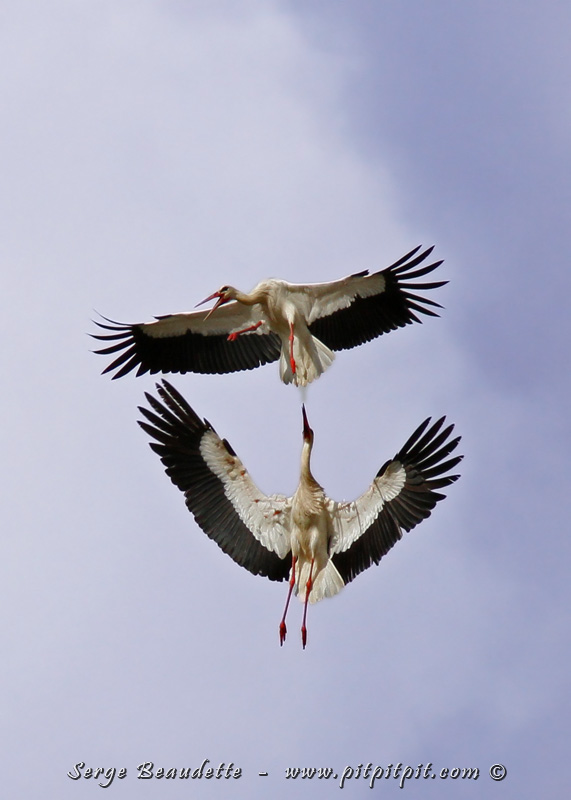 2016-05-09_09-24-46_img_2504