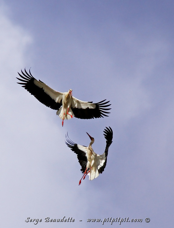 2016-05-09_09-24-46_img_2506