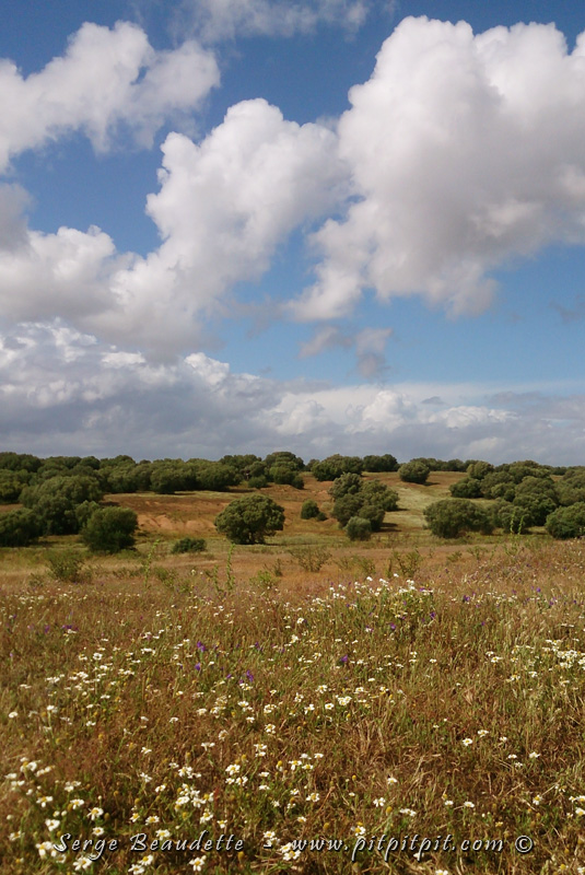 Des prairies, des champs, des steppes, des valons, des milieux ouverts, ...