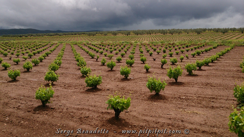 J'ai déjà hâte à demain pour explorer cette nouvelle région!!!