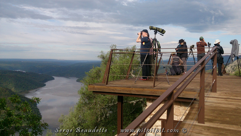 Une fois arrivés au sommet, nous sommes sur un point d'observation vraiment majestueux, donnant directement sur de grandes falaises où se reposent durant la nuit, les vautours. 
