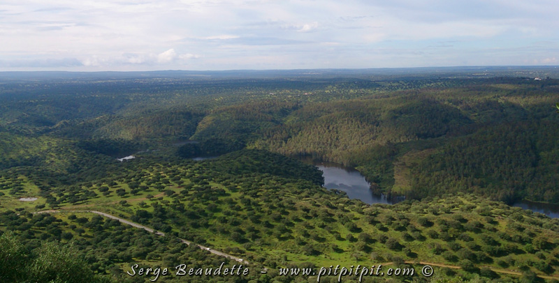 Aujourd'hui, nous passons la journée dans le splendide et très reconnu parc national de Monfraguë! Nous sommes encore dans les paysages charmants des habitats de dehesa… 
