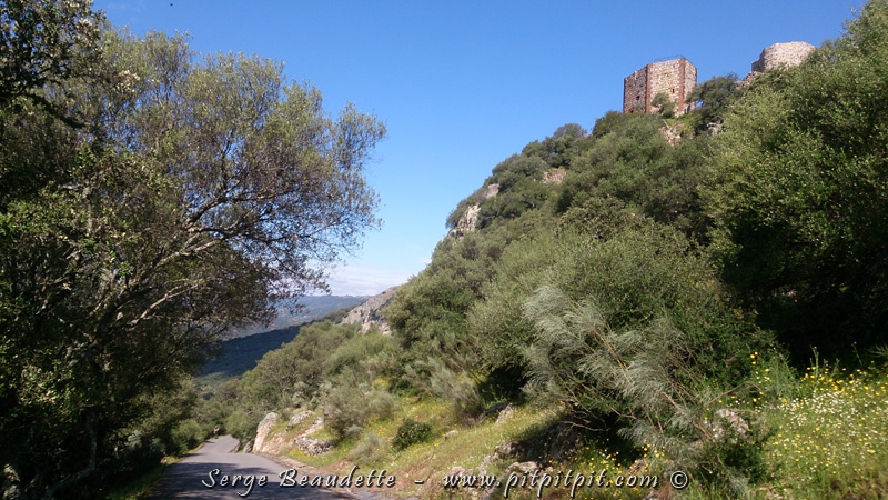 Premier arrêt: nous montons une haute colline par une route asphaltée, dans un habitat magnifique, jusqu'à un château à partir duquel nous ferons l'essentiel de nos observations. Tout en montant, les nouvelles espèces s'accumulent!  