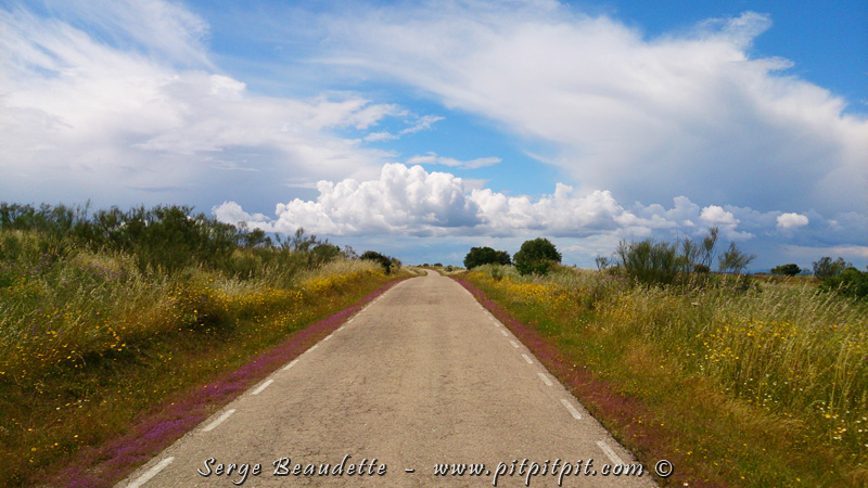 Encore une journée pleine de merveilles et d'observations fabuleuses!