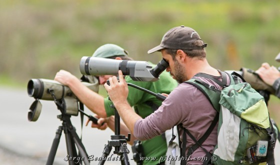 Non mais, imaginez une fauvette dans un télescope, vue par 16 personnes!!! Je ne vous dis pas l'effort qu'on y a mis! Un vrai TOUR DE FORCE!!!