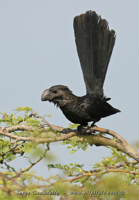 2018-01-08_09-53-22_IMG_8190