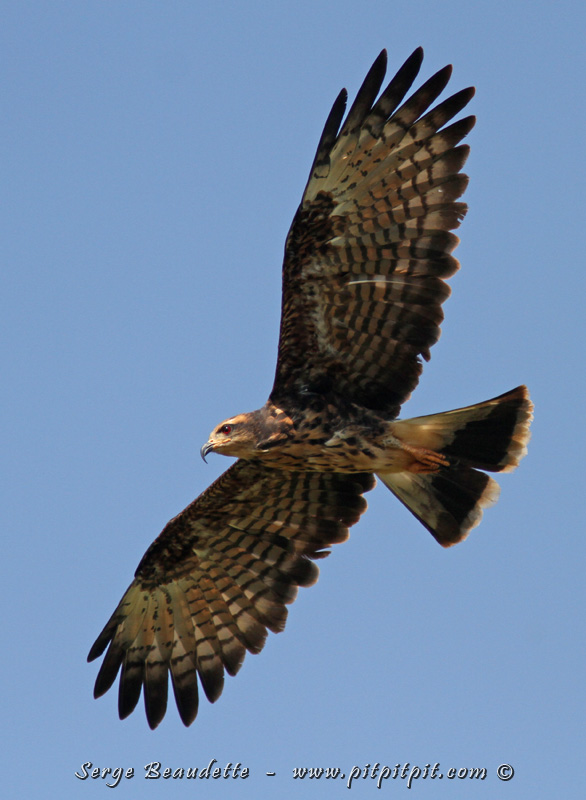 2018-01-08_10-48-02_IMG_8324