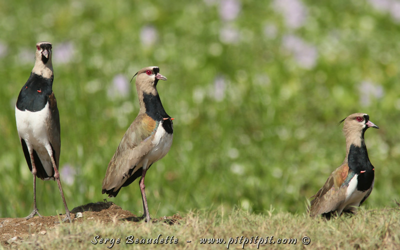 2018-01-08_10-56-55_IMG_8355