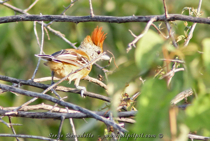 2018-01-09_07-34-56_IMG_8443