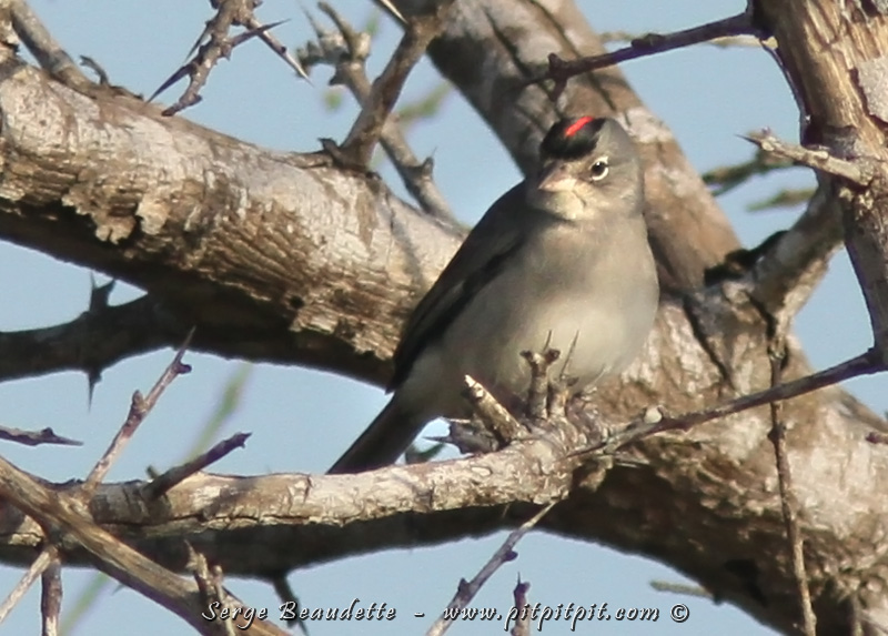 2018-01-09_07-46-20_IMG_8451