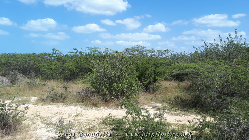 2018-01-09_11-23-40_20180109_112340