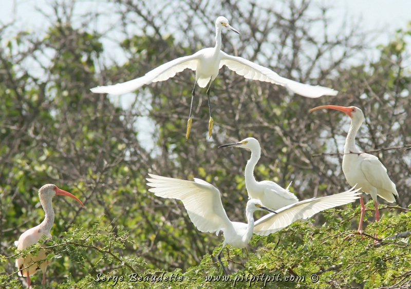 2018-01-09_12-33-11_IMG_8617