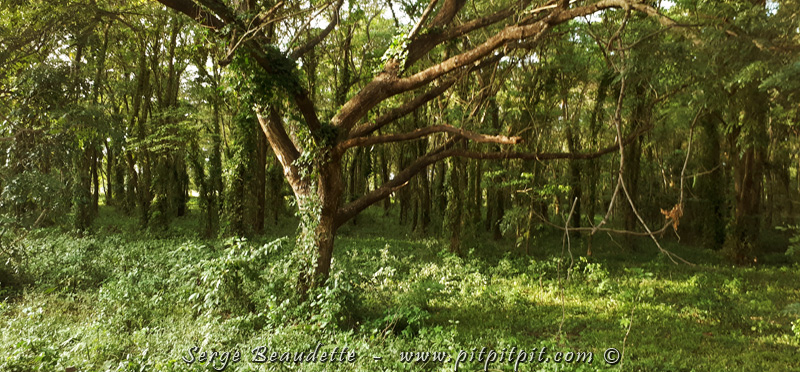 2018-01-09_16-28-20_20180109_162820