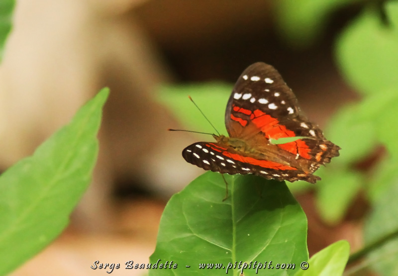 2018-01-10_09-40-40_IMG_8736