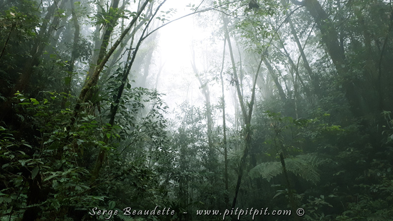 Aujourd'hui, nous montons encore, mais plutôt que de nous arrêter là où la route finit, nous visitons les zones intermédiaires. 