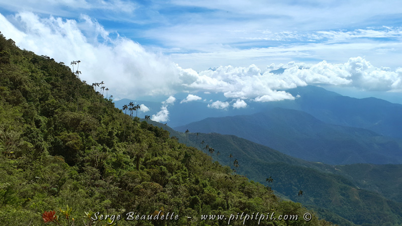 2018-01-13_11-02-51_20180113_110251