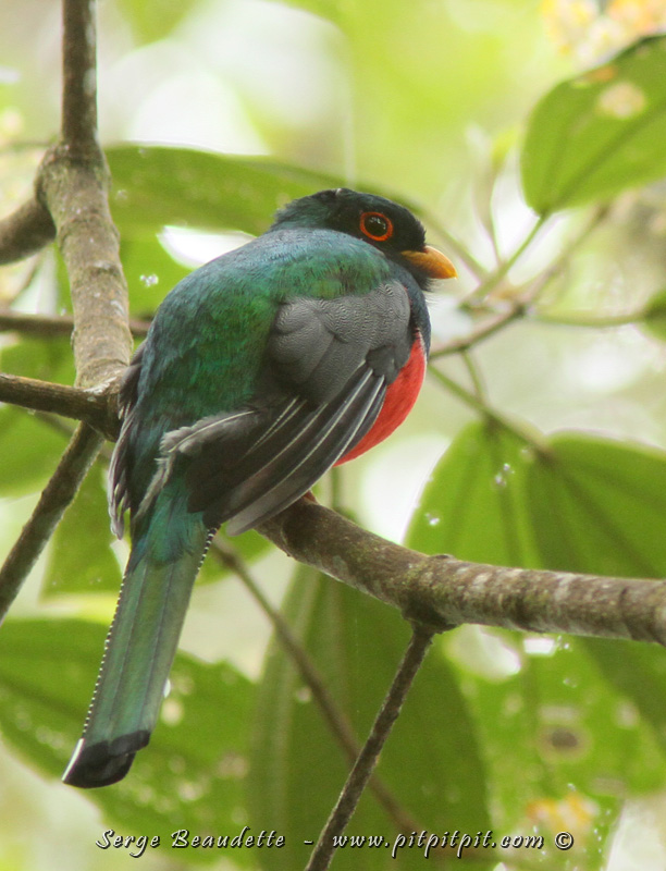 2018-01-13_12-27-40_IMG_9739