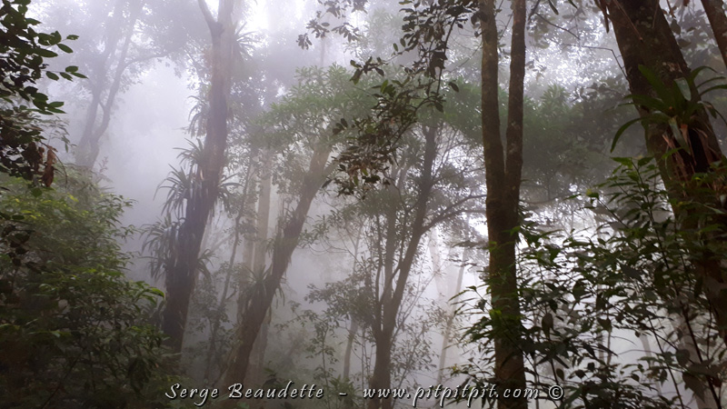 2018-01-14_15-37-28_20180114_153728