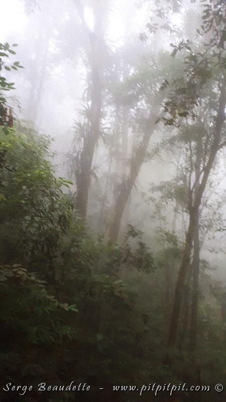 2018-01-14_15-38-51_20180114_153851