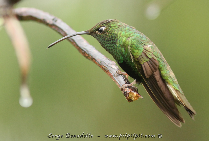 2018-01-17_08-17-00_IMG_0648