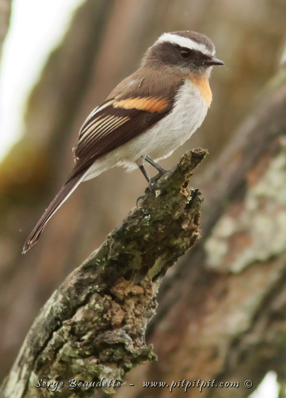 2018-01-17_08-47-39_IMG_0761