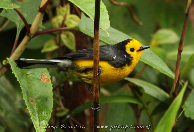 2018-01-17_09-23-53_IMG_0828