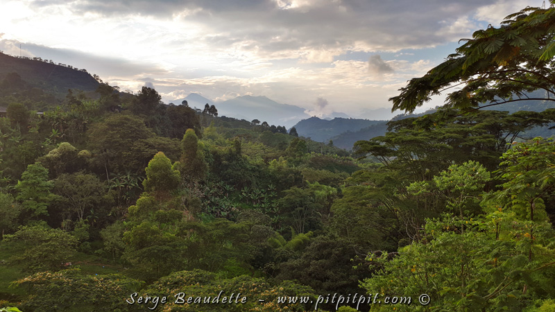 2018-01-17_17-19-10_20180117_171910