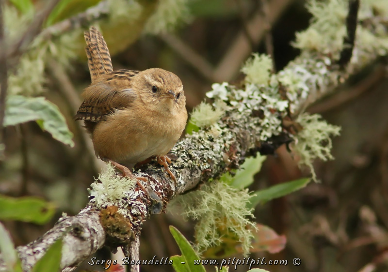 2018-01-20_08-45-50_IMG_1634