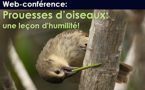 conference-prouesses2
