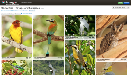 copie ecran album Amalagram