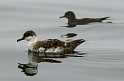 2011-06-27_12-52-57_IMG_4328