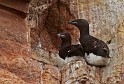 2011-06-27_13-39-58_IMG_4467