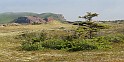 2011-06-28_07-52-07_IMG_4654