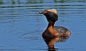 2011-06-28_13-28-22_IMG_4807