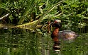 2011-06-28_14-56-37_IMG_4949