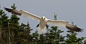 2011-06-29_08-47-07_IMG_5040