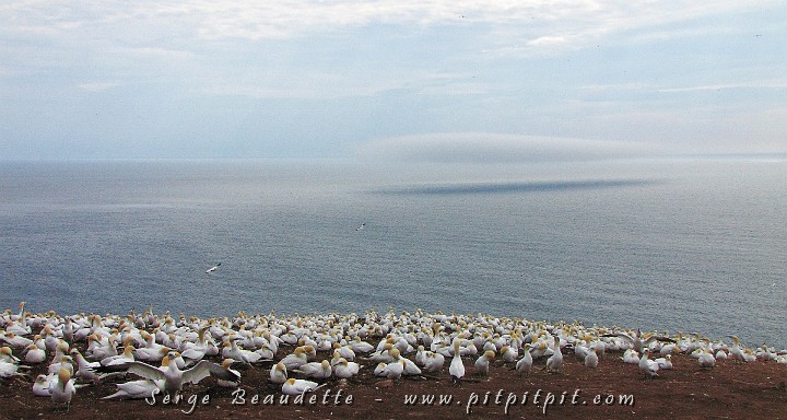 sb-IMG_3231.JPG