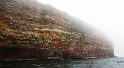 sb-IMG_3153