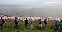 sb-IMG_3228