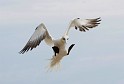 sb-_MG_5590