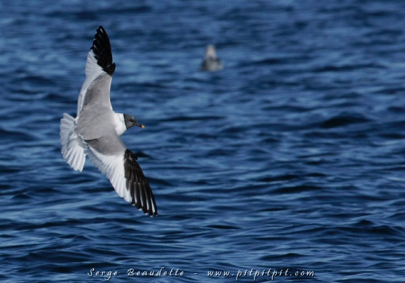 IMG_7062.JPG